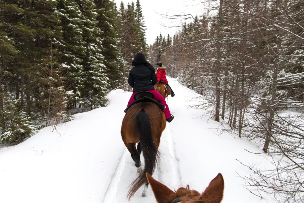 Faire du cheval au Quebec en hiver