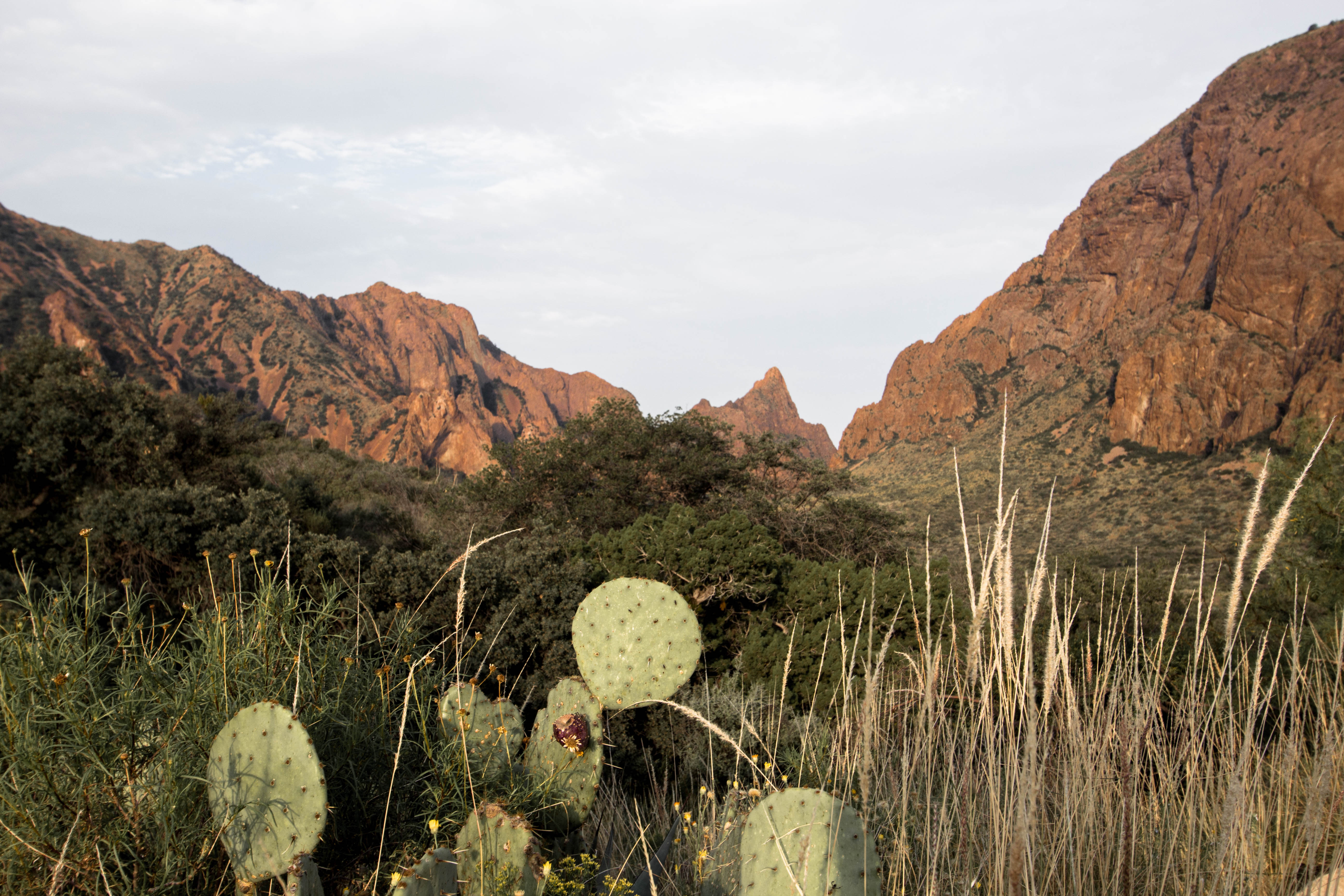 Texas | Visiter Big Bend National Park
