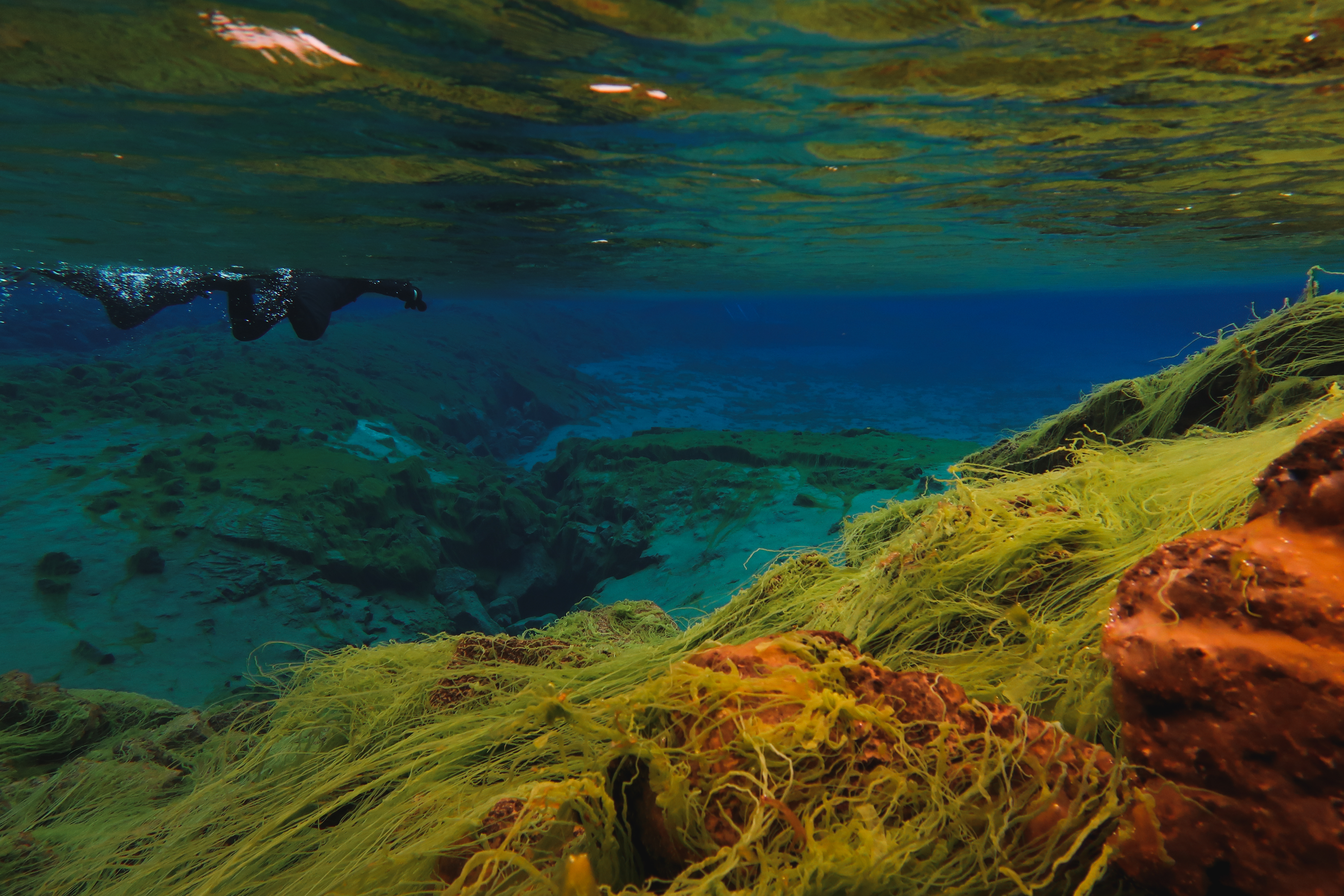 Islande | Faire du snorkeling dans une faille entre deux continents