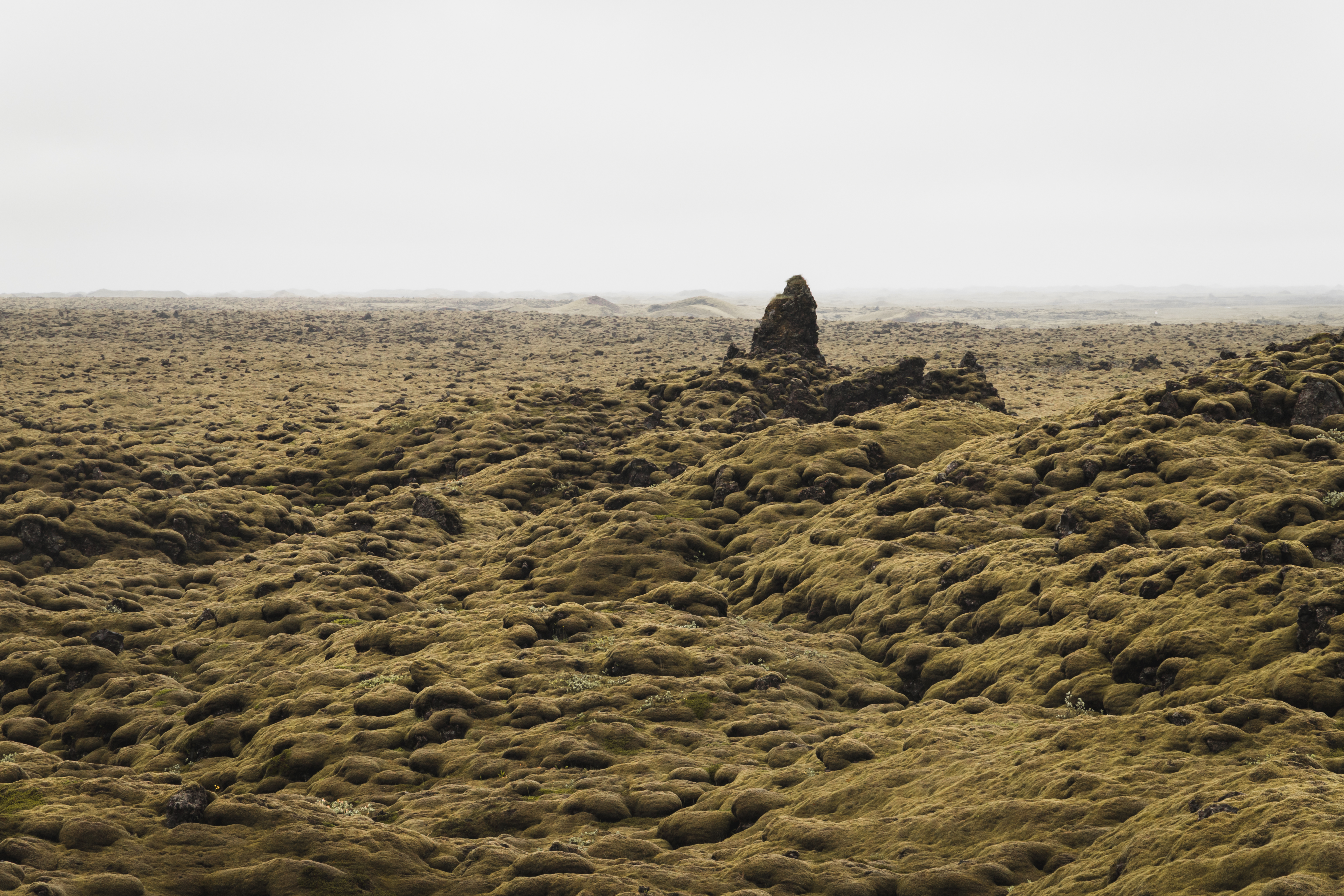 Islande | Le Cercle d'Or et les merveilles du sud -Skaftáreldahraun