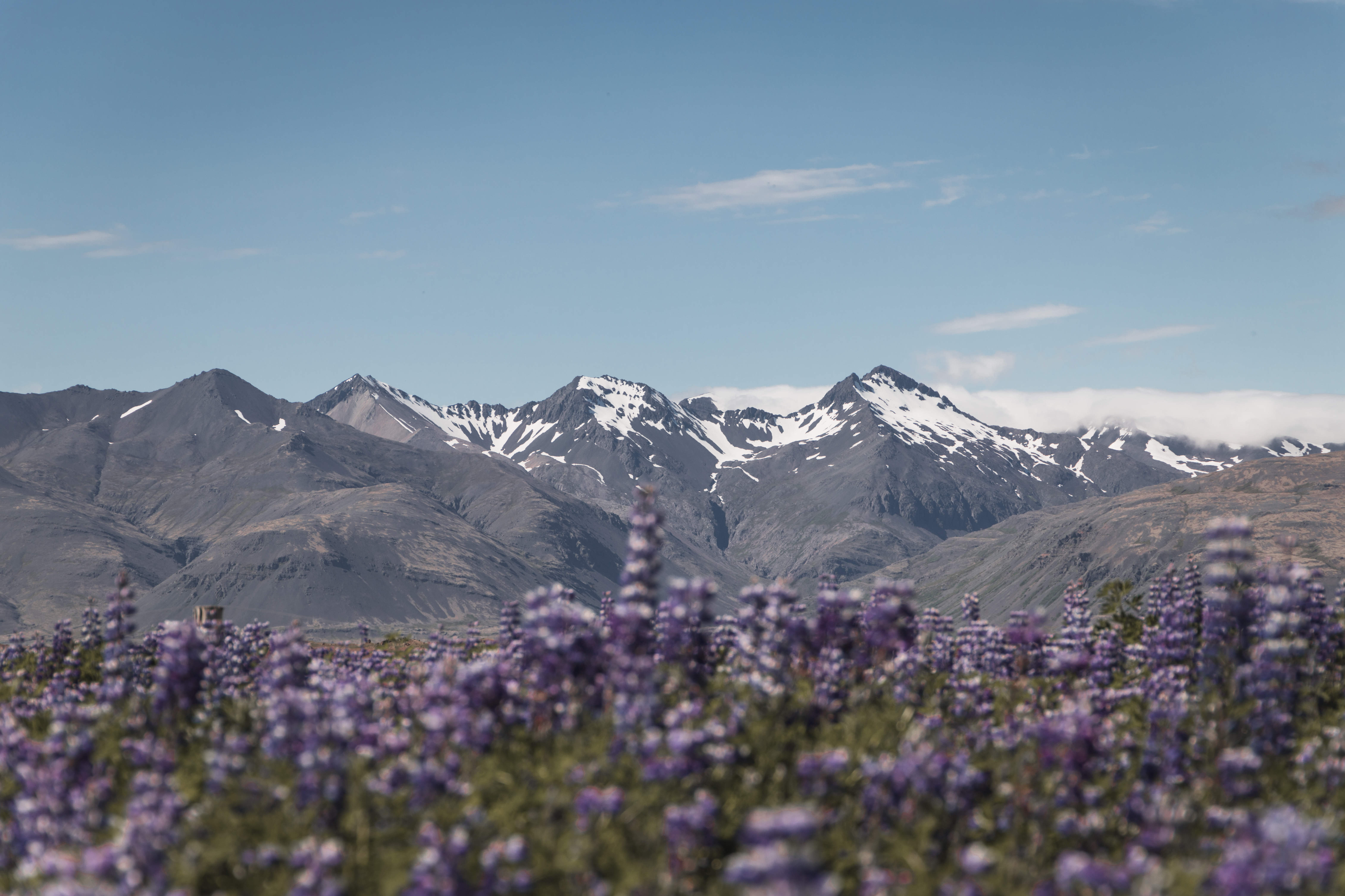 Islande | Des Fjords de l’Est jusqu’au Nord du pays