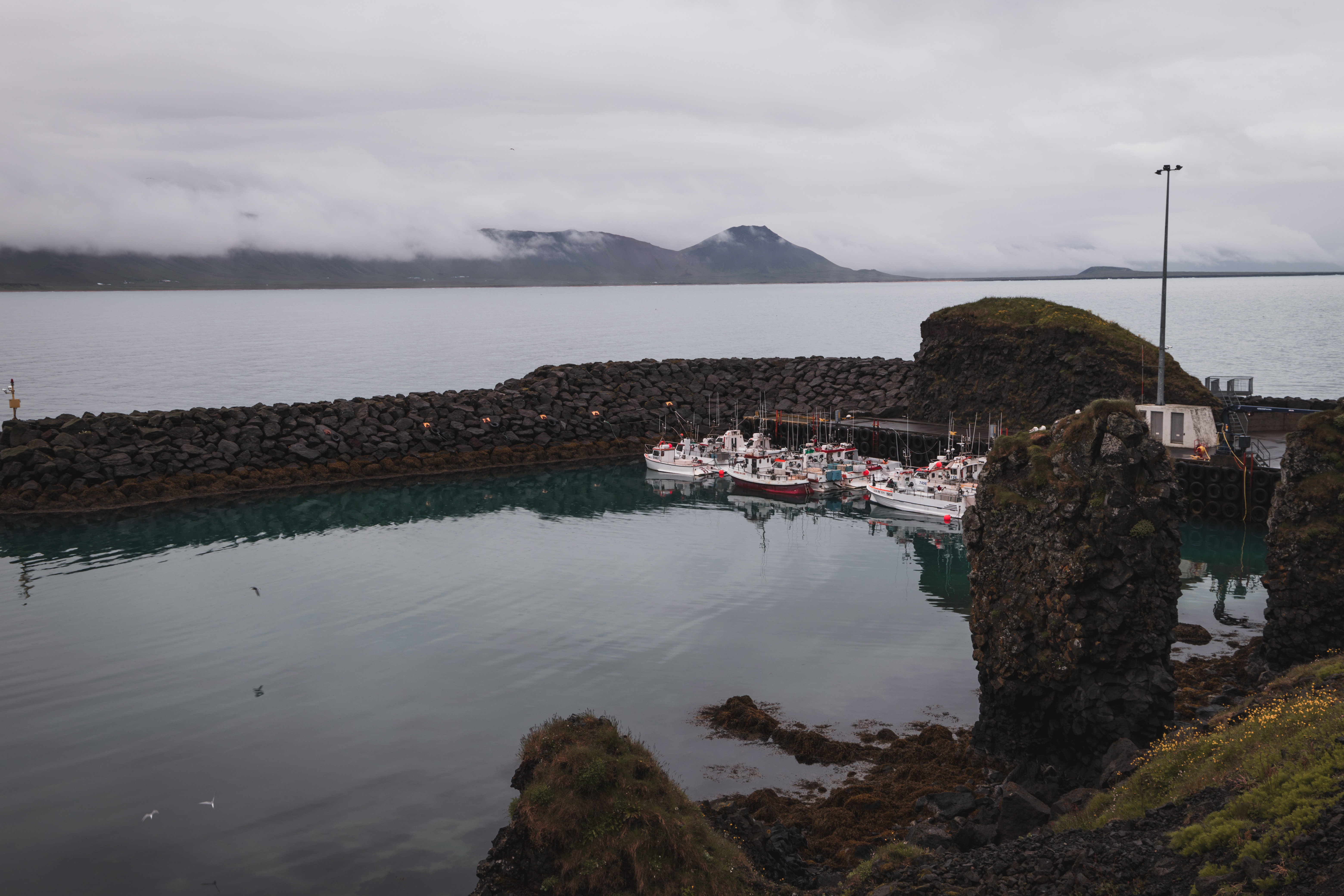 Islande | La péninsule du Snæfellsness - Arnarstapi