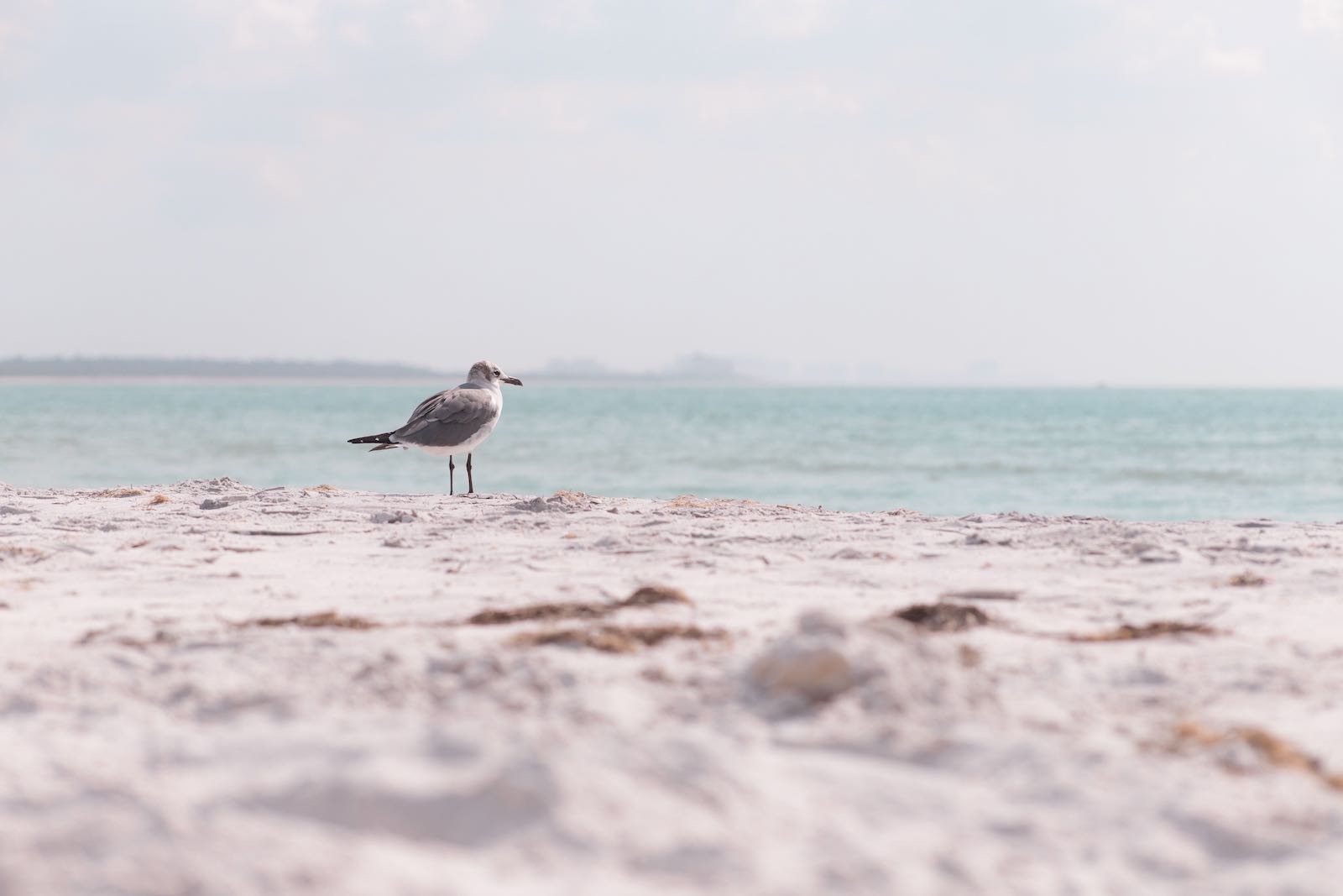 Préparer un road trip en Floride