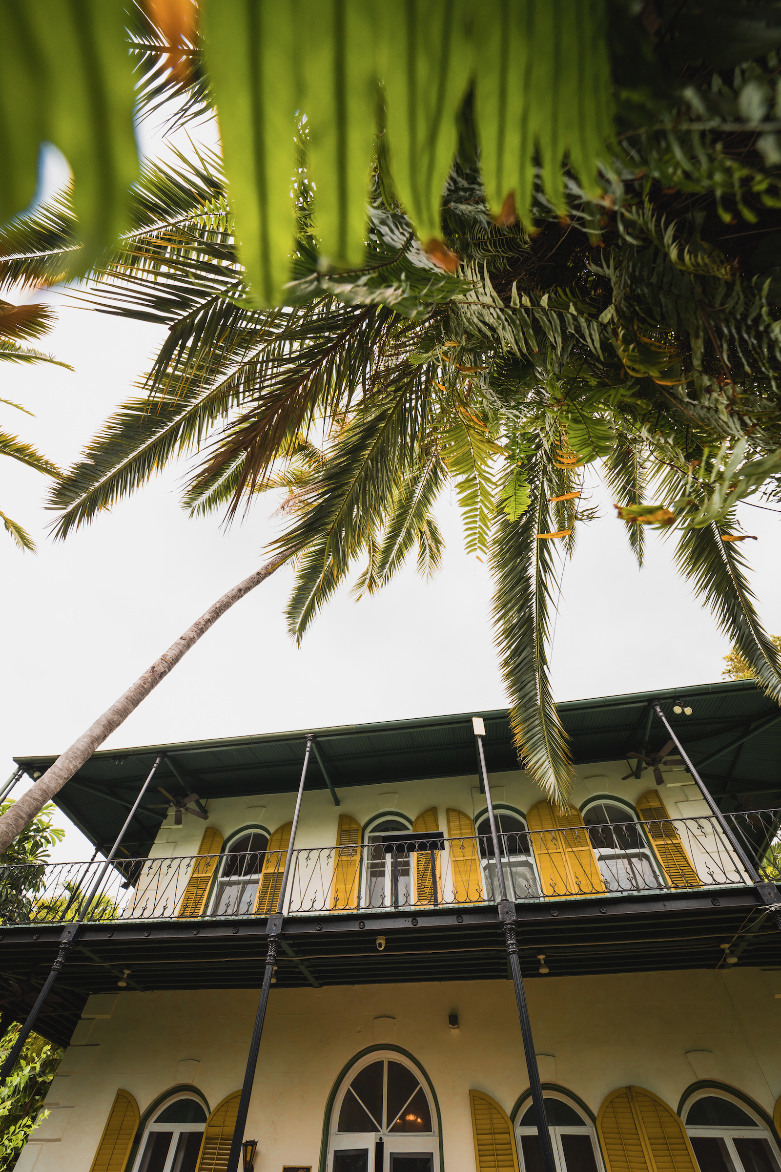 Maison Hemingway à Key West