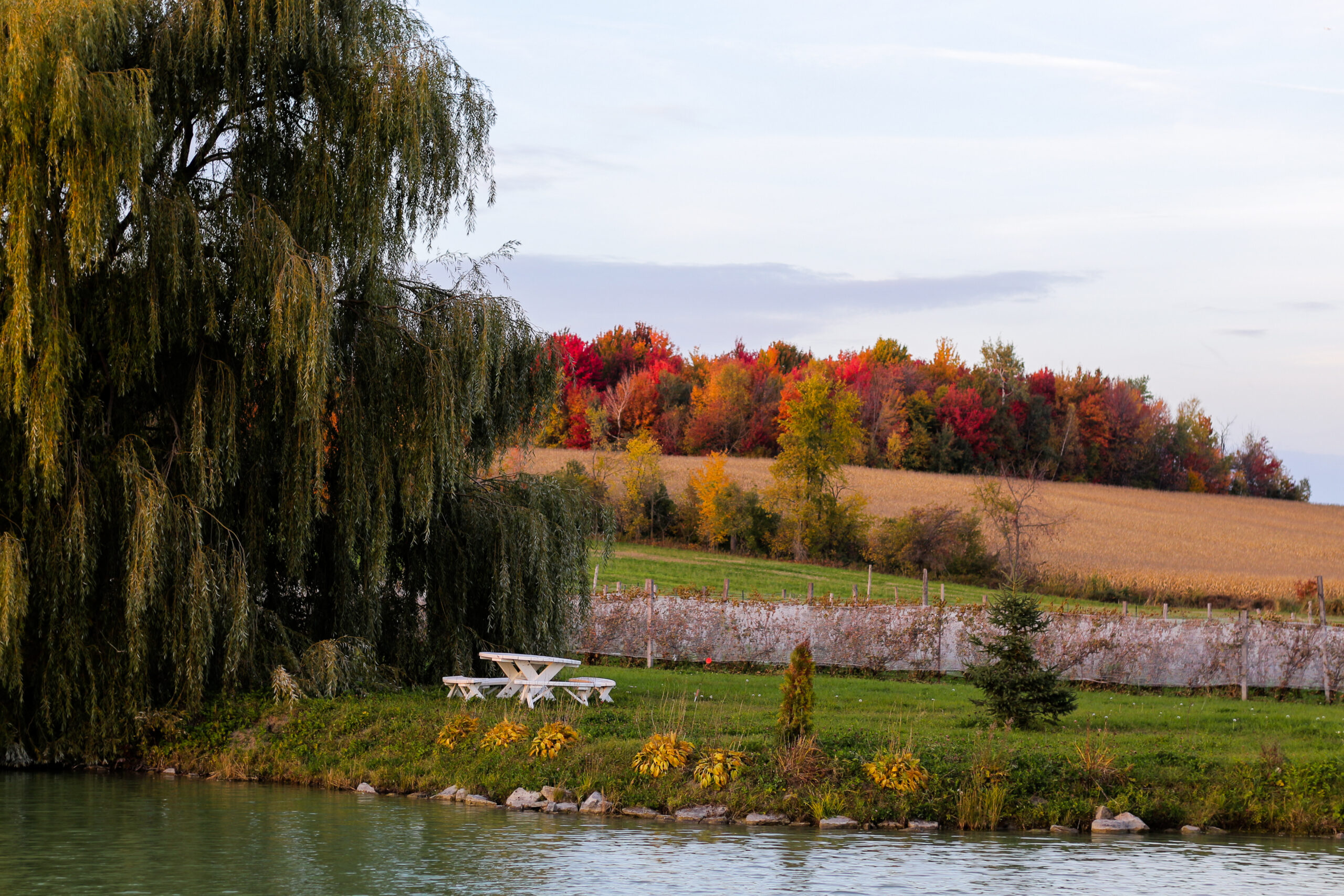 Québec | Une nuit dans un superbe gîte à une heure de Montréal