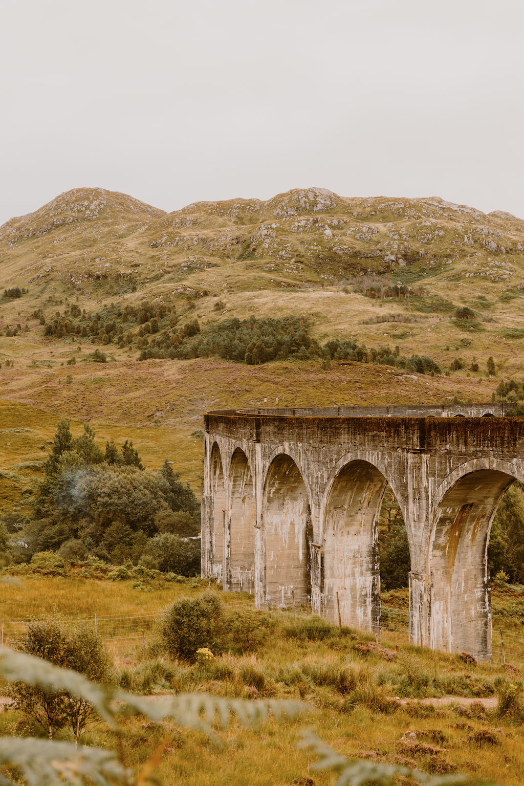 Voir le train d'Harry Potter en Écosse