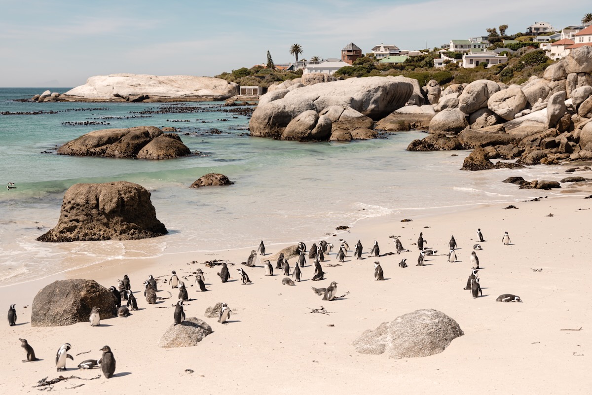 Boulders Beach