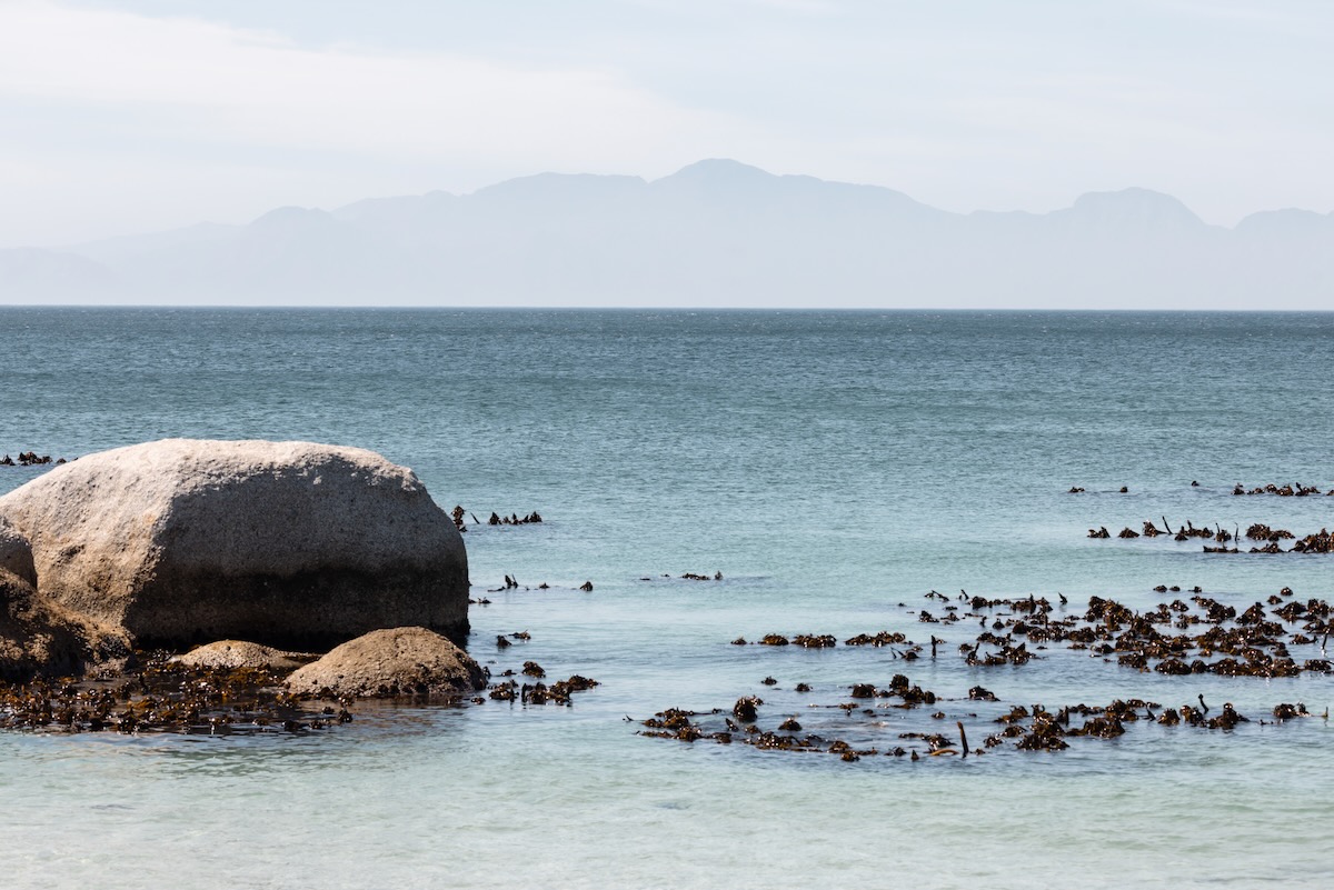 Boulders Beach 