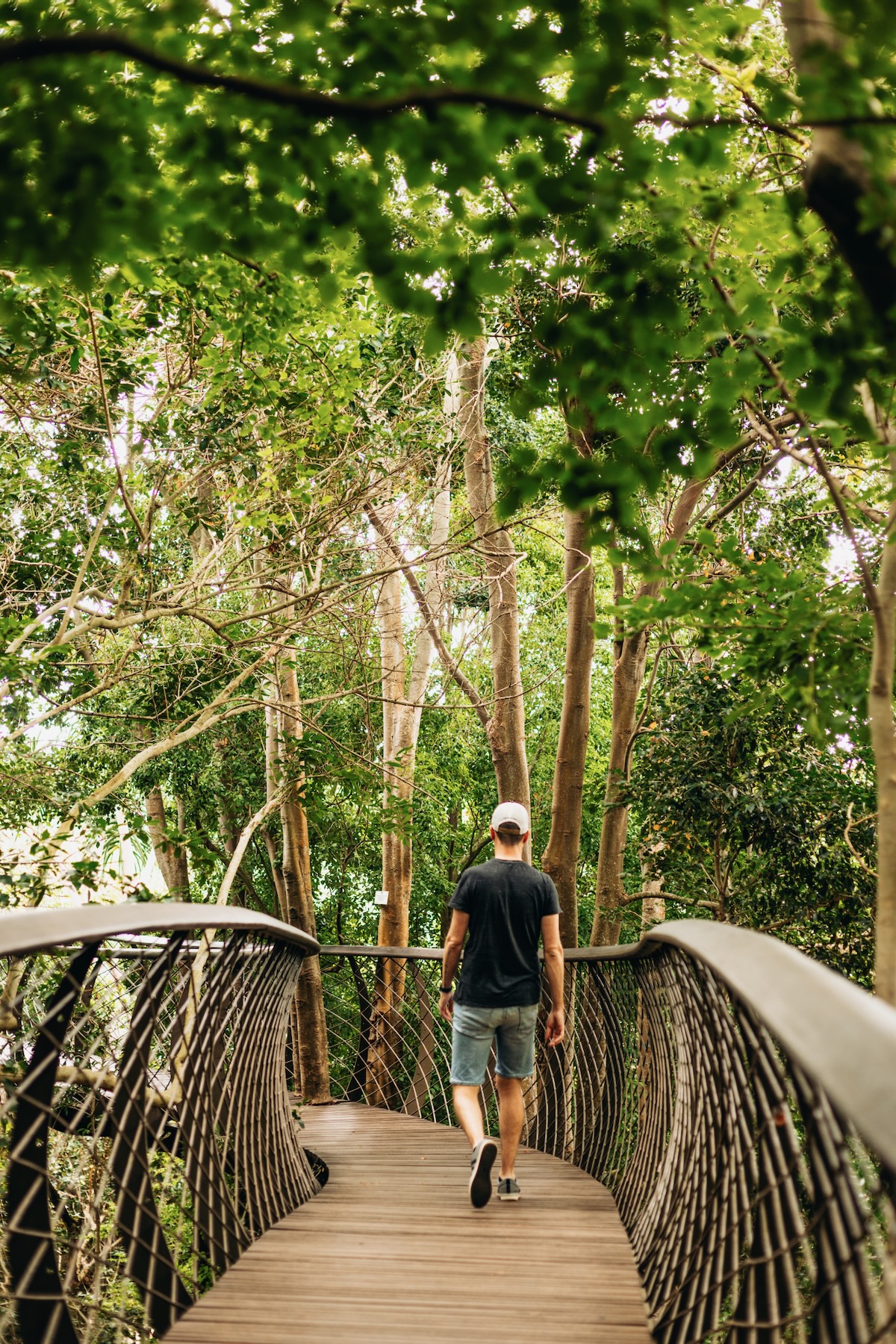 Jardin Botanique Kirstenbosch