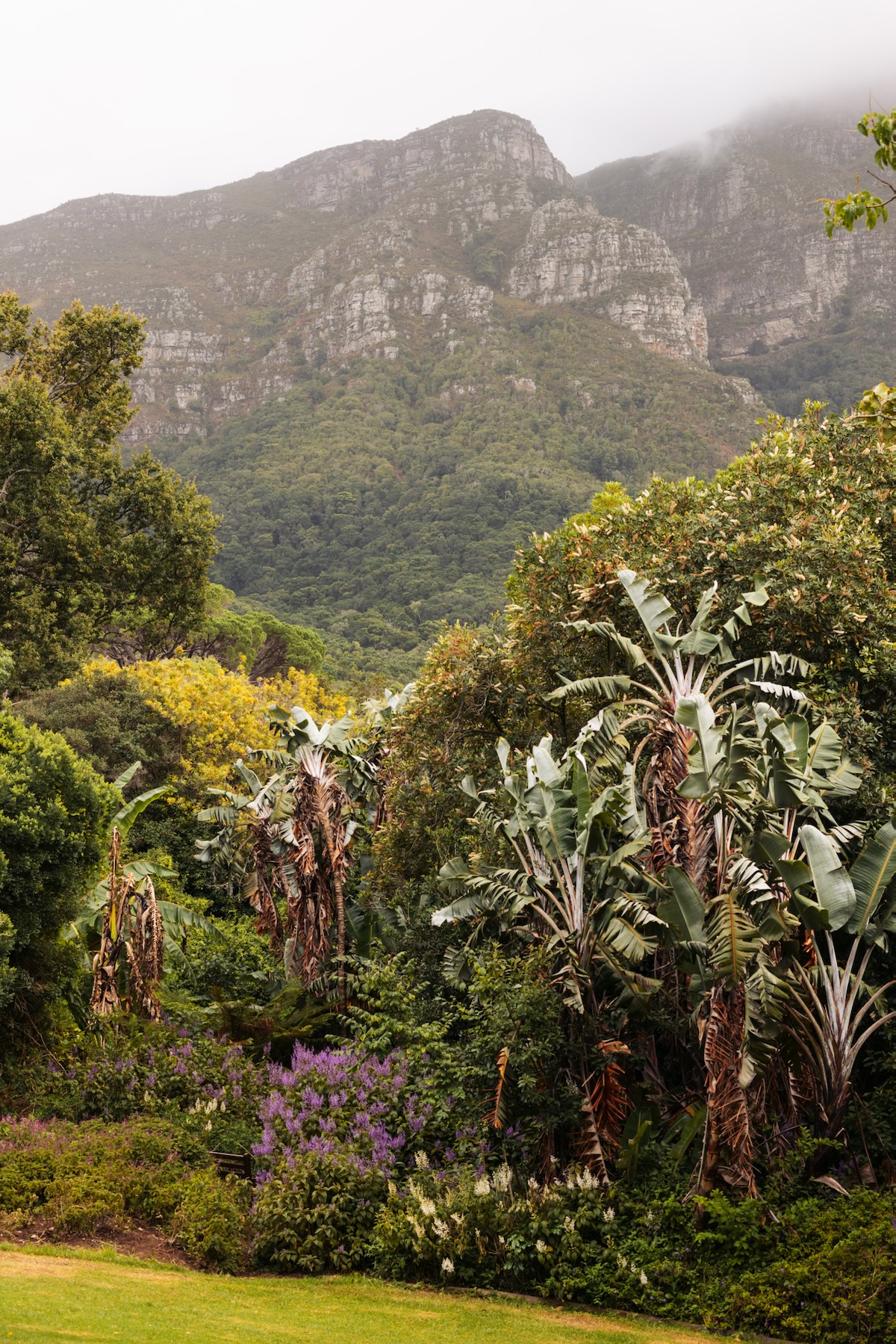 Jardin Botanique Kirstenbosch