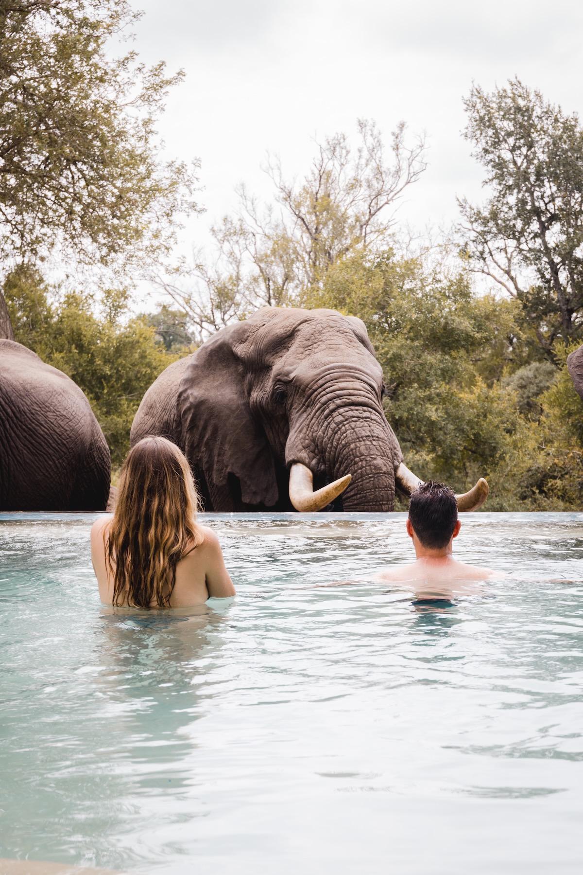 Safari - Honeyguide Tented Camp