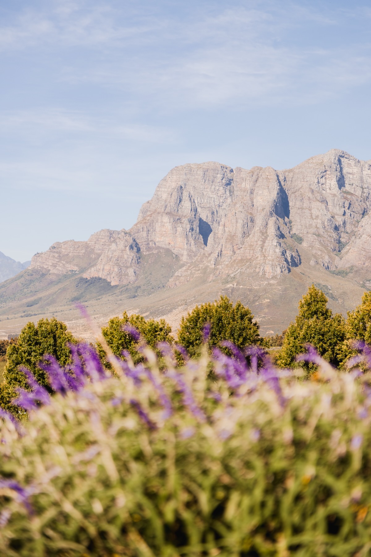 Circuit en Afrique du Sud