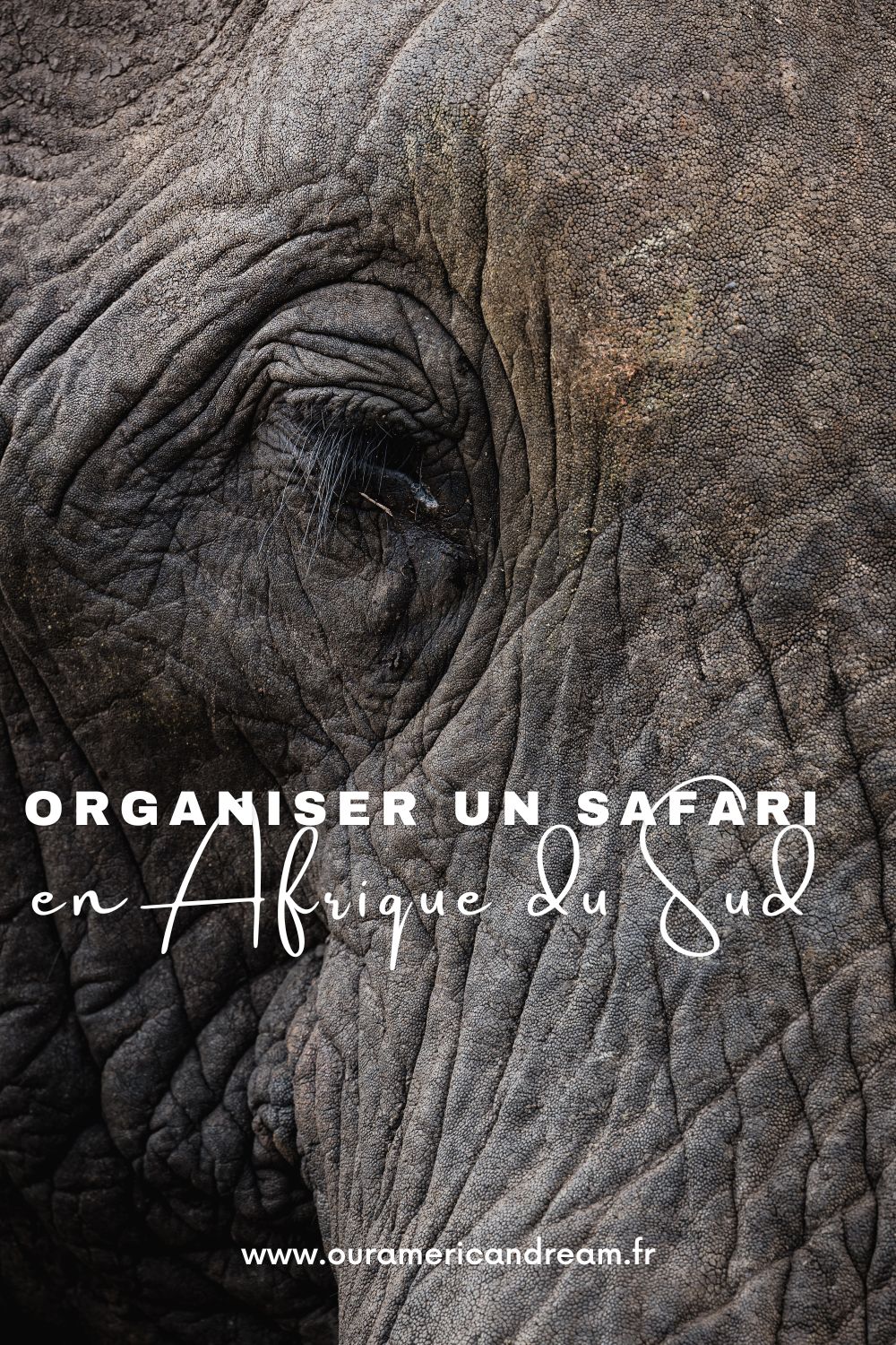 Pinterest - Safari Afrique du Sud 