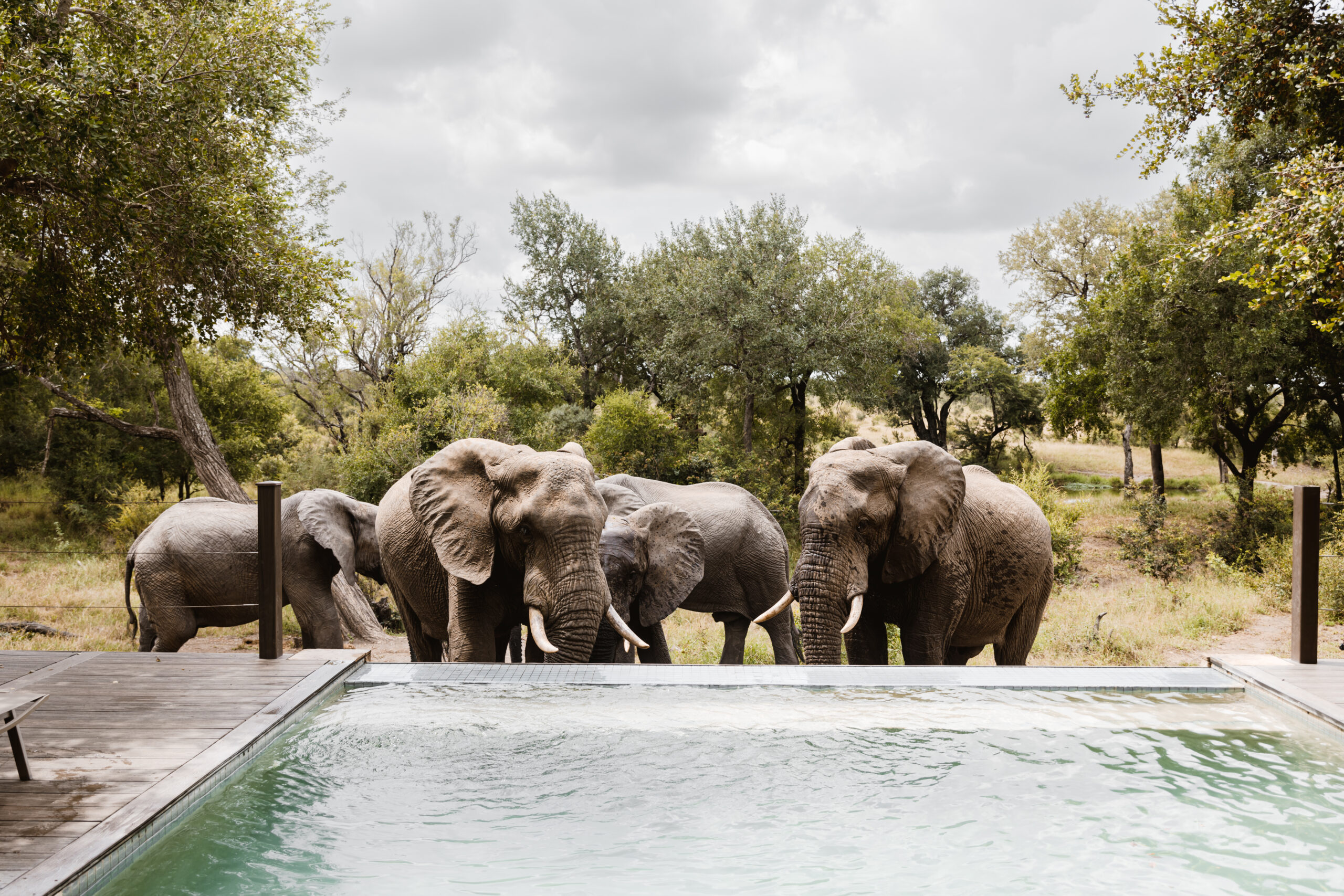 Honeyguide Tented Safari Camps - Mantobeni 