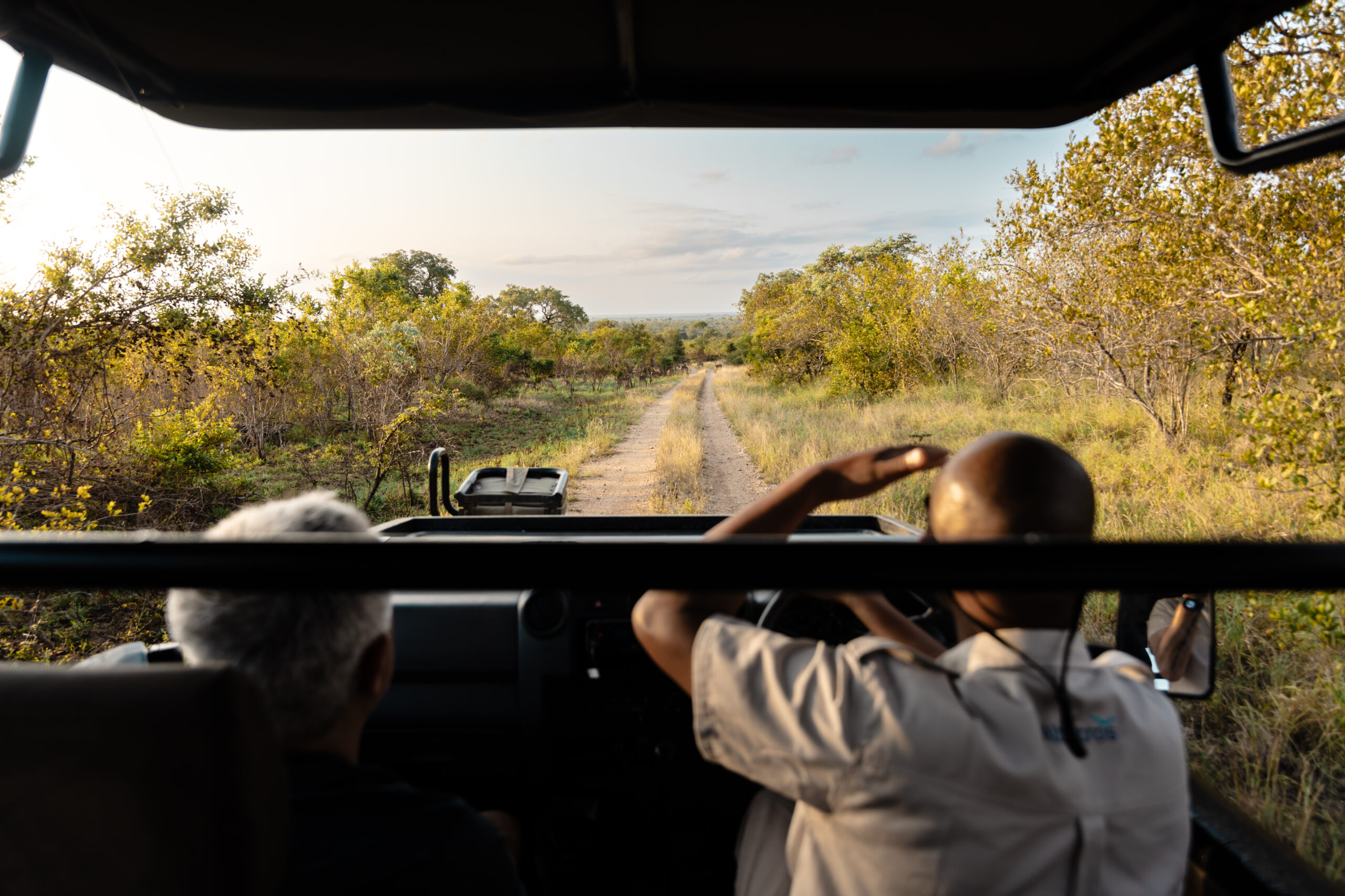 Game drive en Afrique du Sud