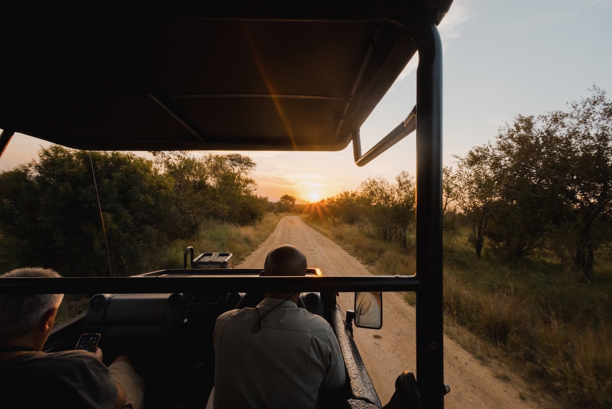 Game drive en Afrique du Sud