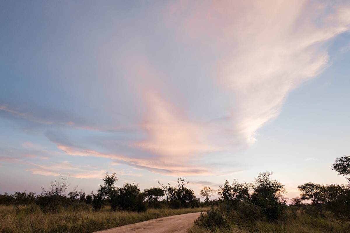 Dans la savane au coucher du soleil