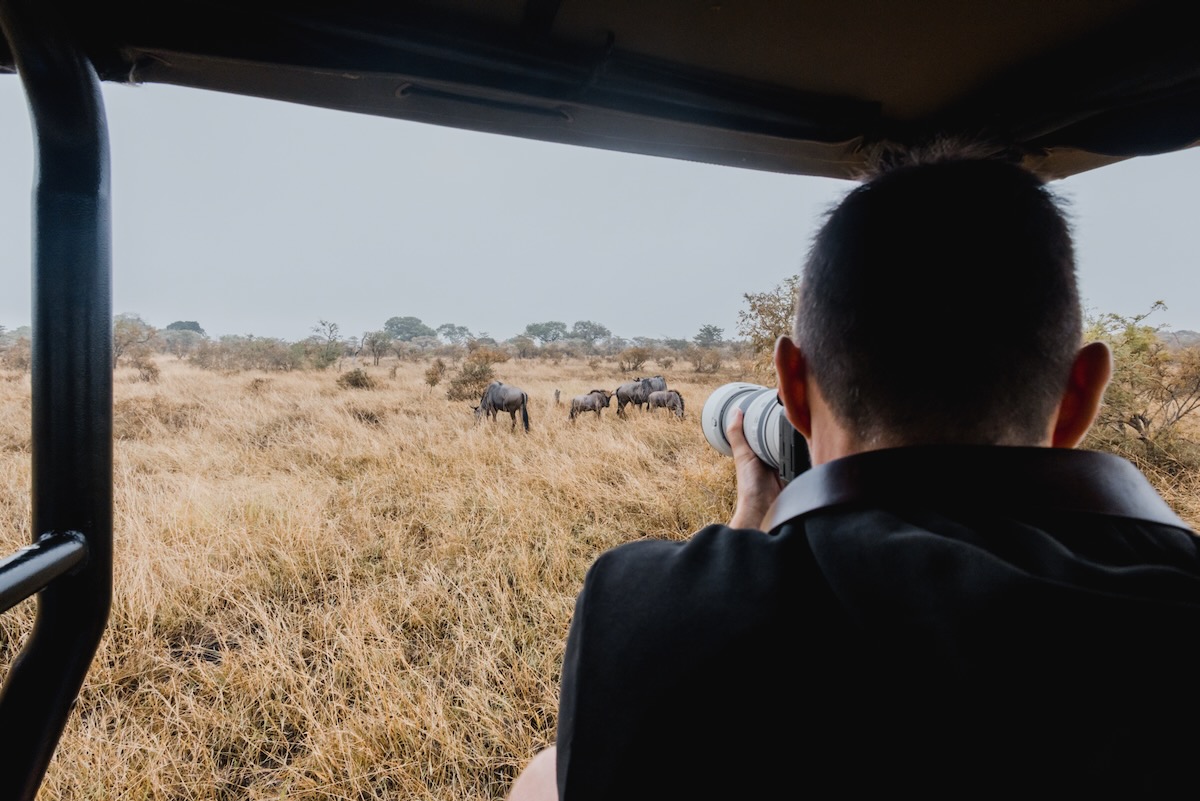 Quel est le budget d'un safari en Afrique du Sud ? 