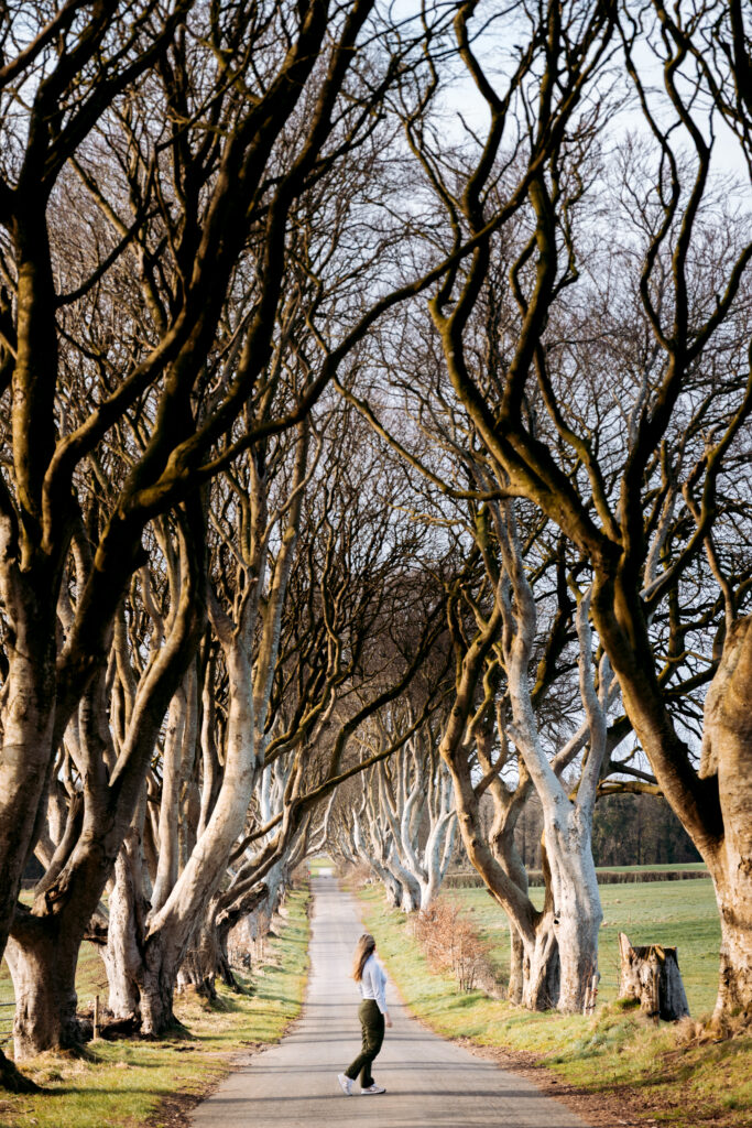 Road trip en Irlande - Itinéraire