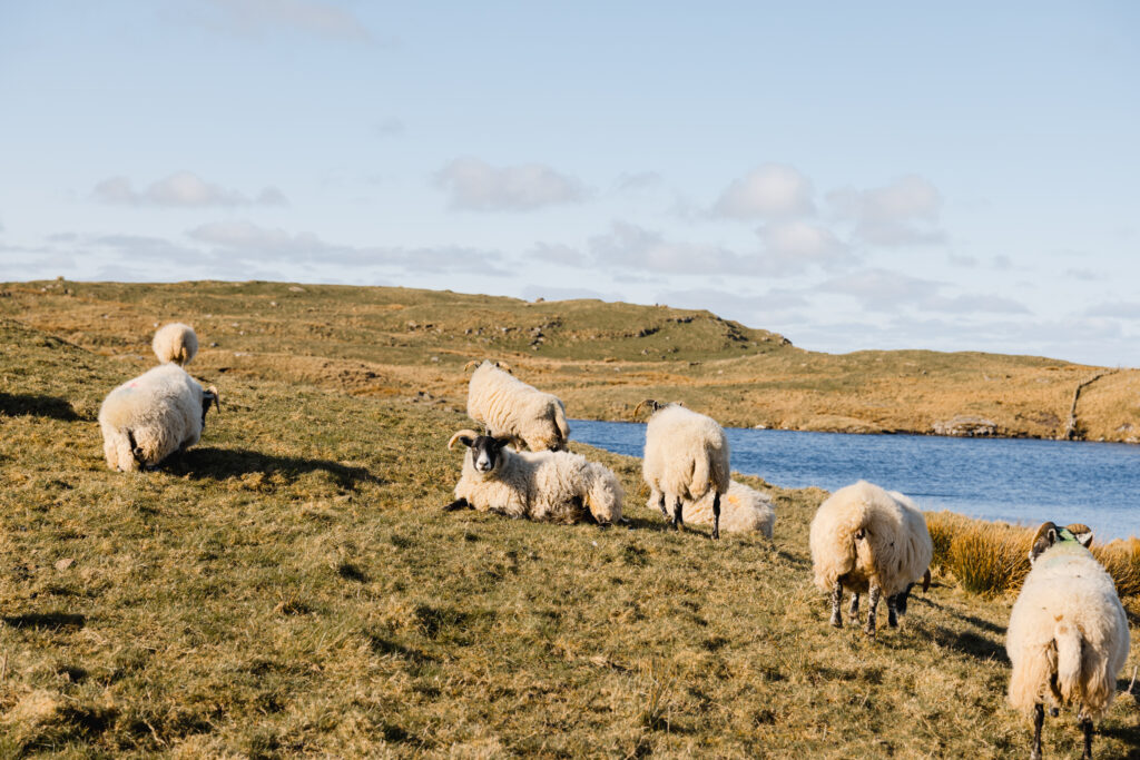 Road trip sur la Causeway Coastal Route - Fair Head