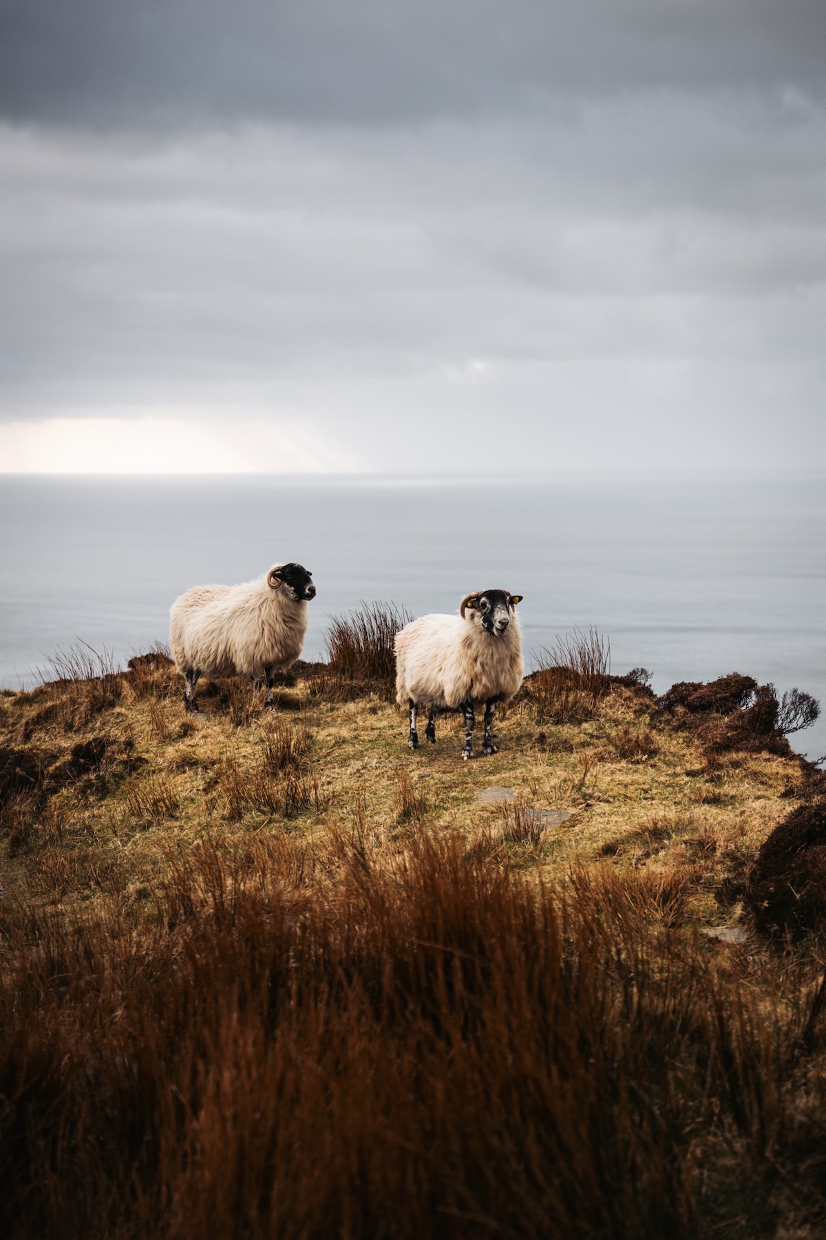 Slieve League - Road trip sur la Wild Atlantic Way