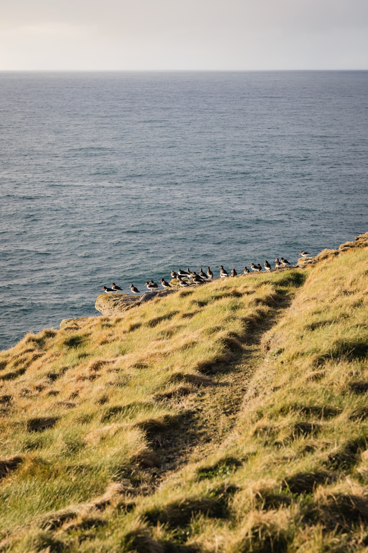 Downpatrick's Head - Wild Atlantic Way