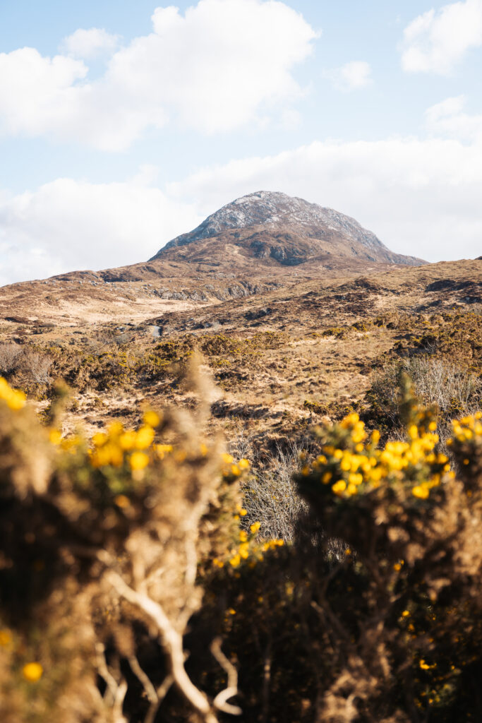 Que faire en Irlande ?