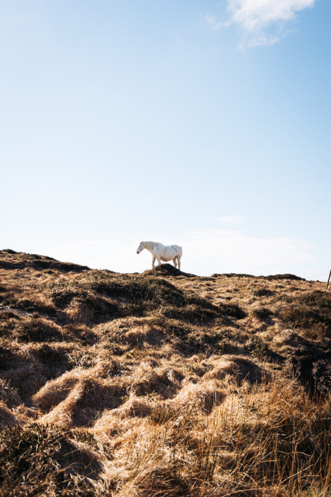 Road trip en Irlande