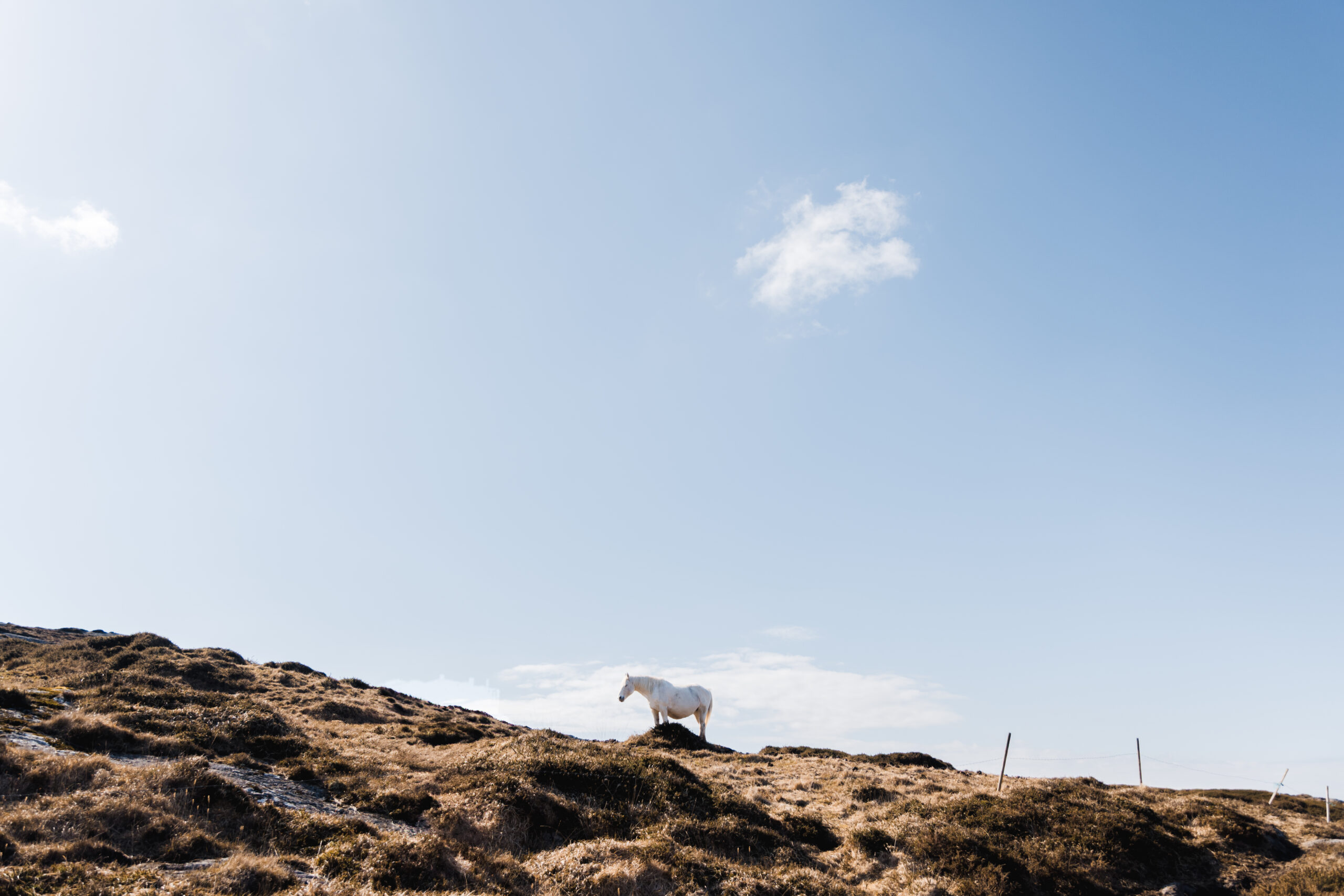 Road trip sur la Wild Atlantic Way
