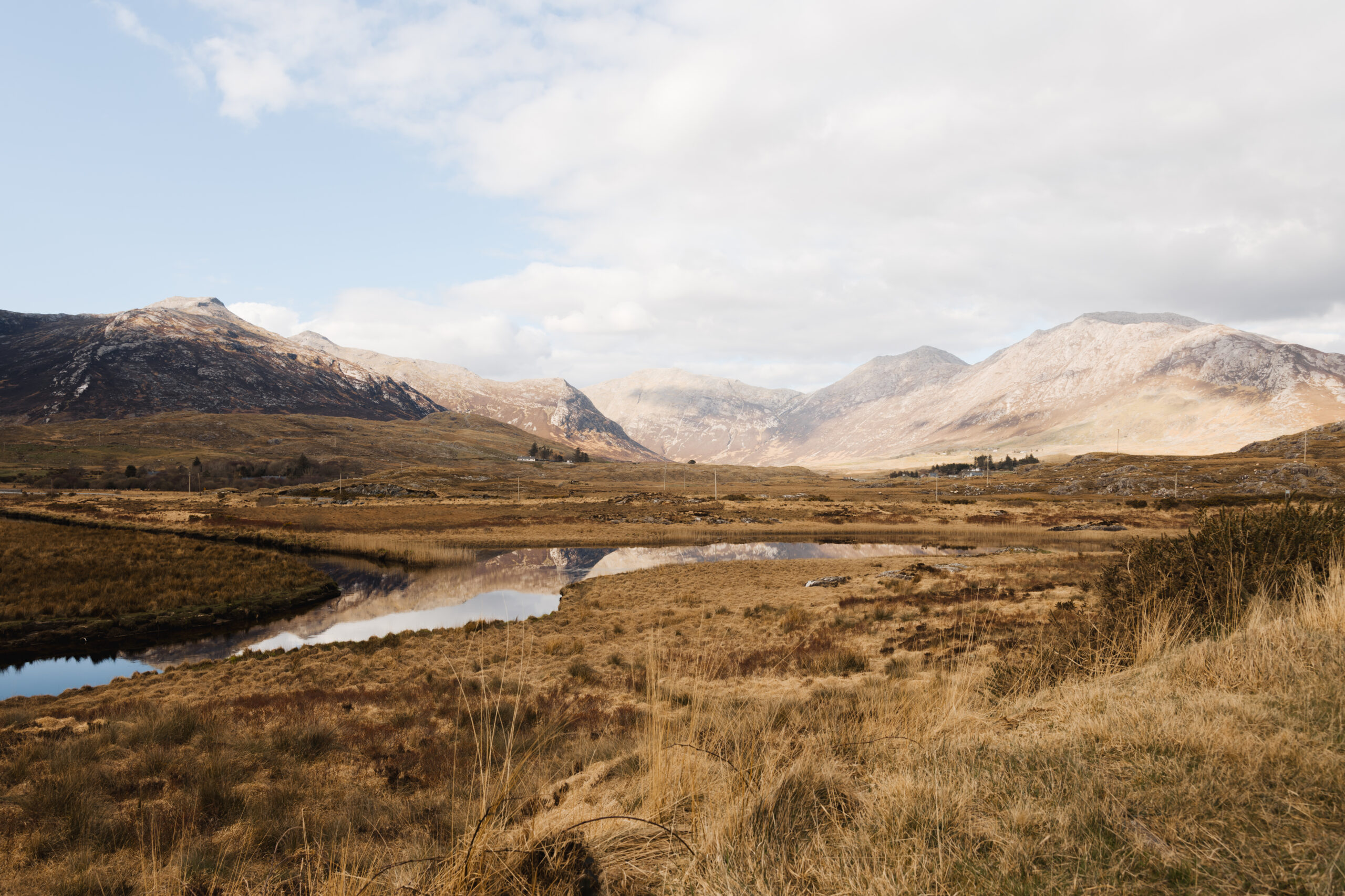 Derryclare Lough - Pine Island