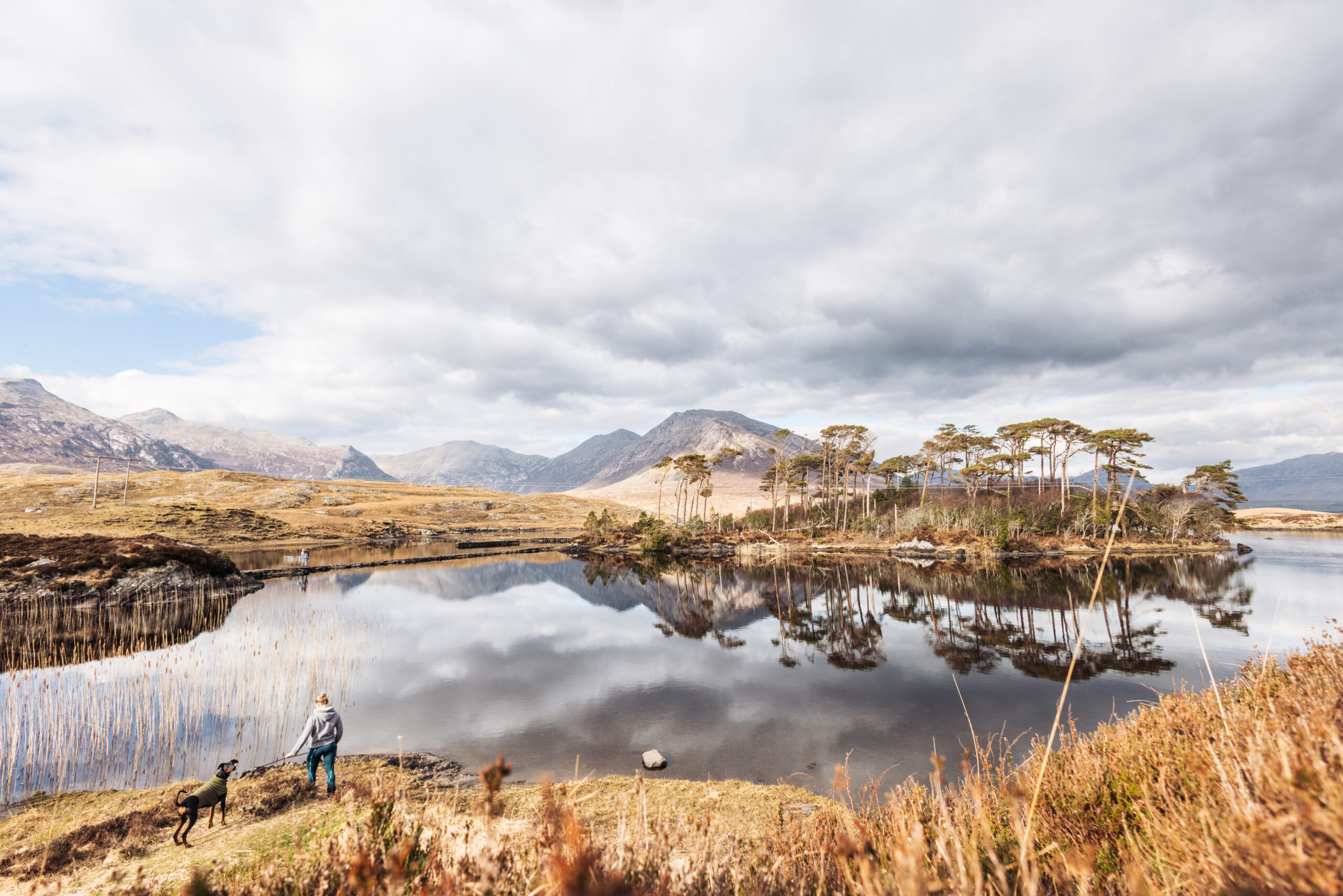 Derryclare Lough - Pine Island