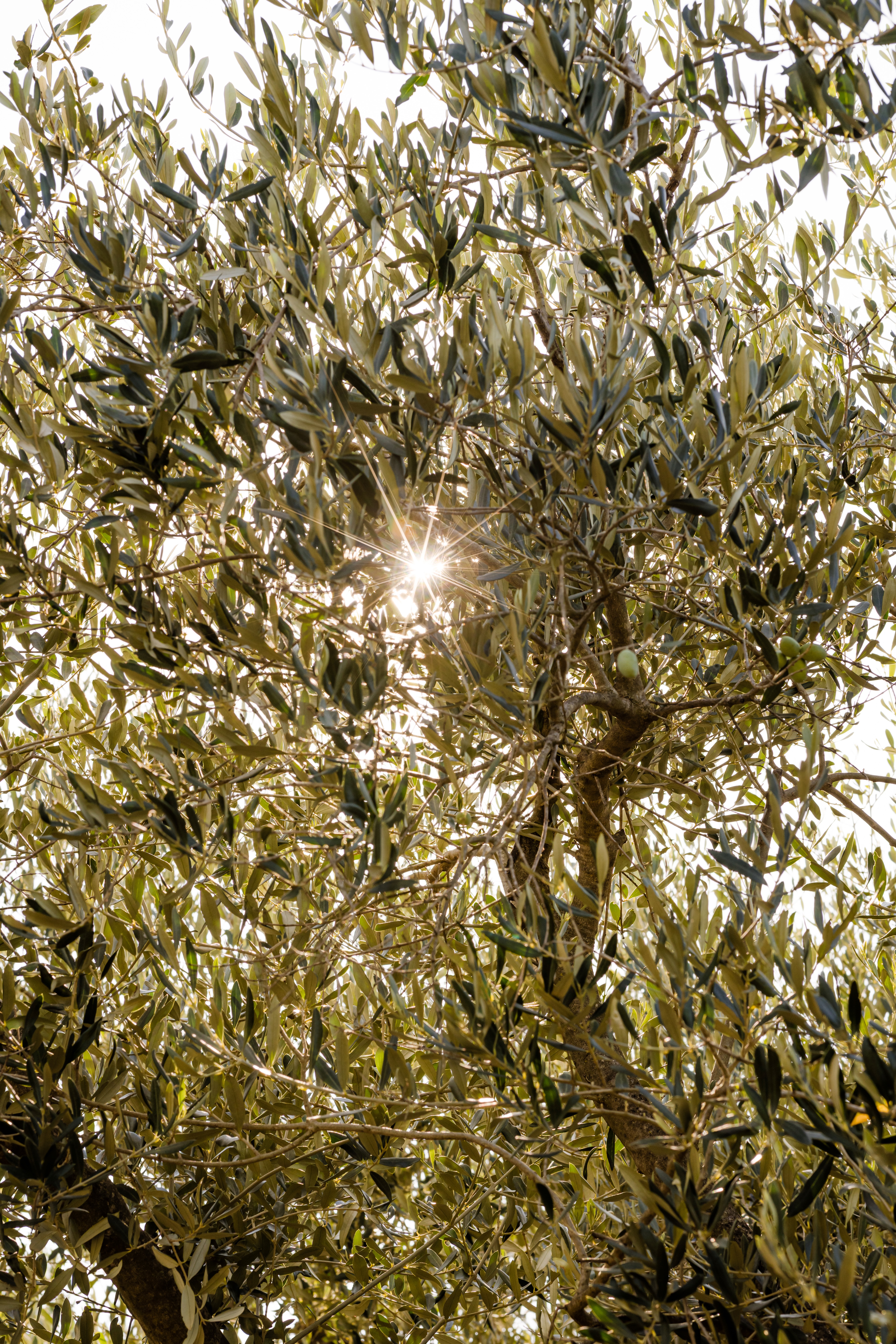 Où dormir à Beaucaire ?