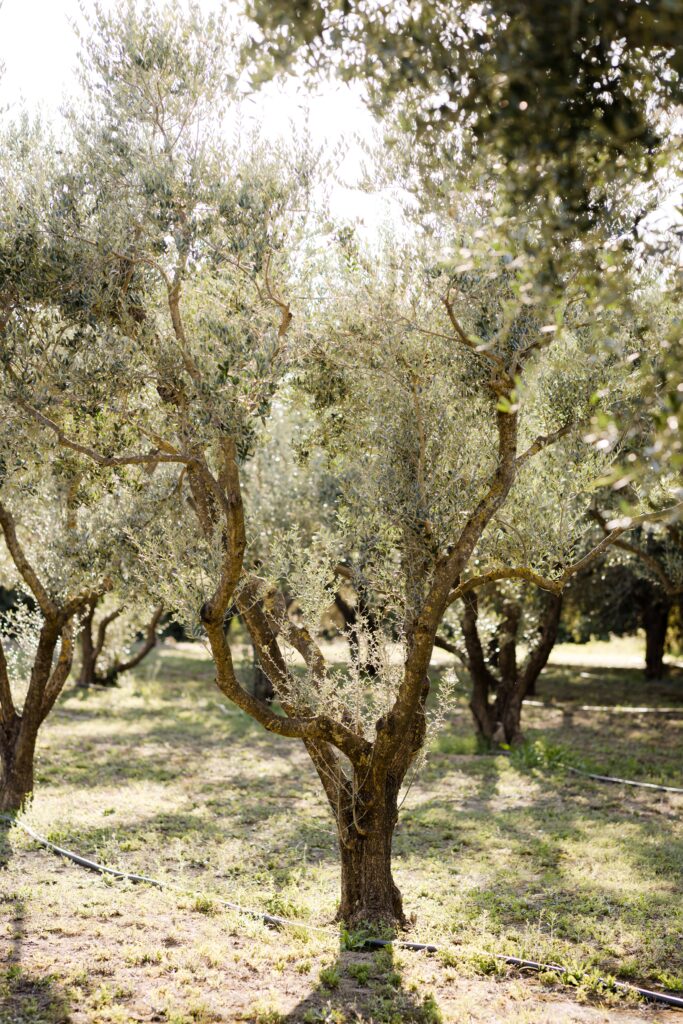 Tester les spécialités locales