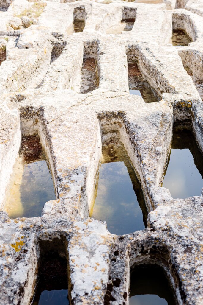 Abbaye de Saint Roman