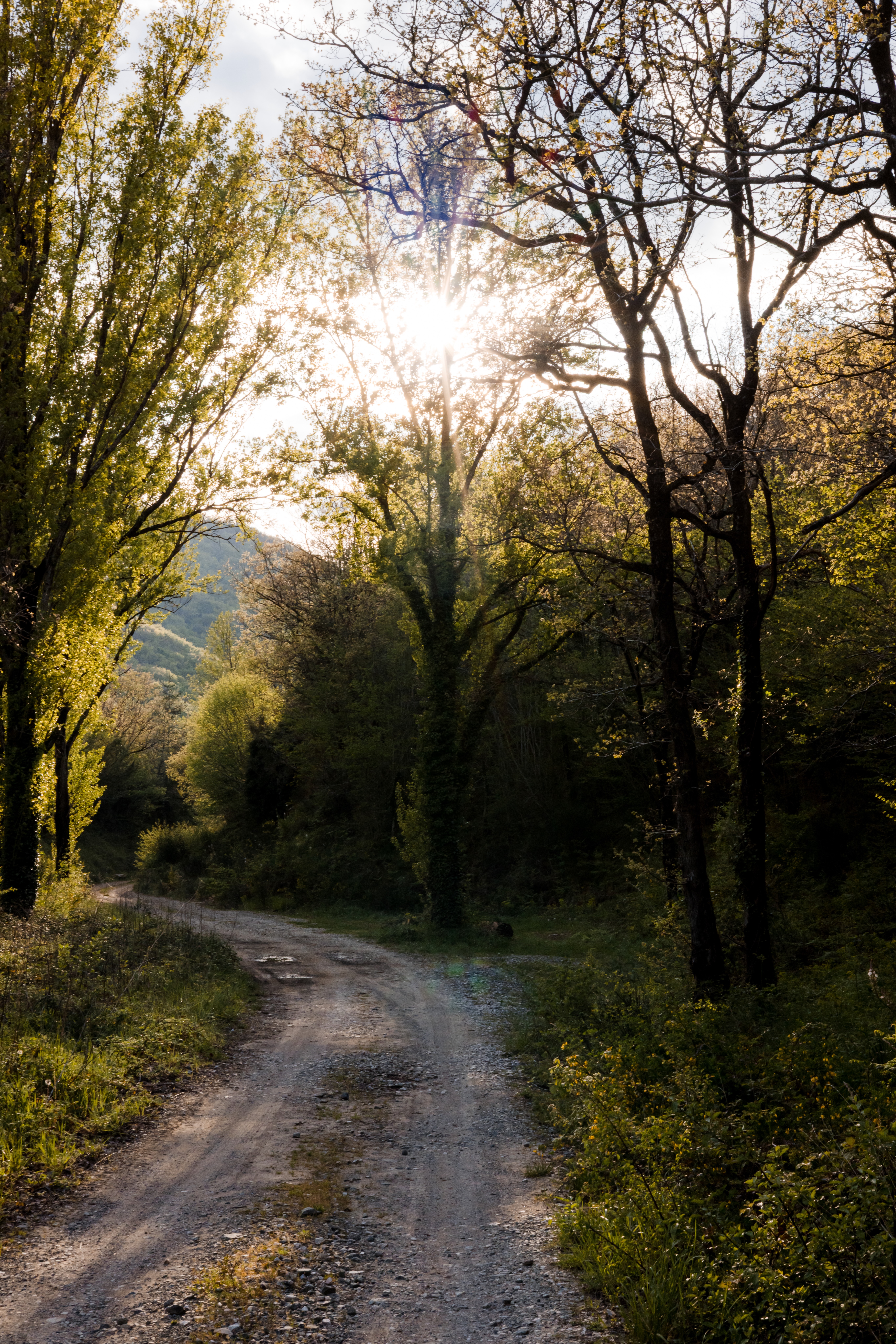 Un week-end au vert à Avène