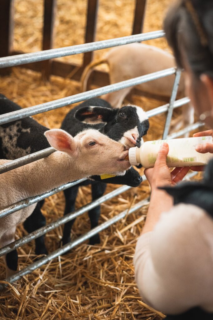 Un week-end au vert à Avène