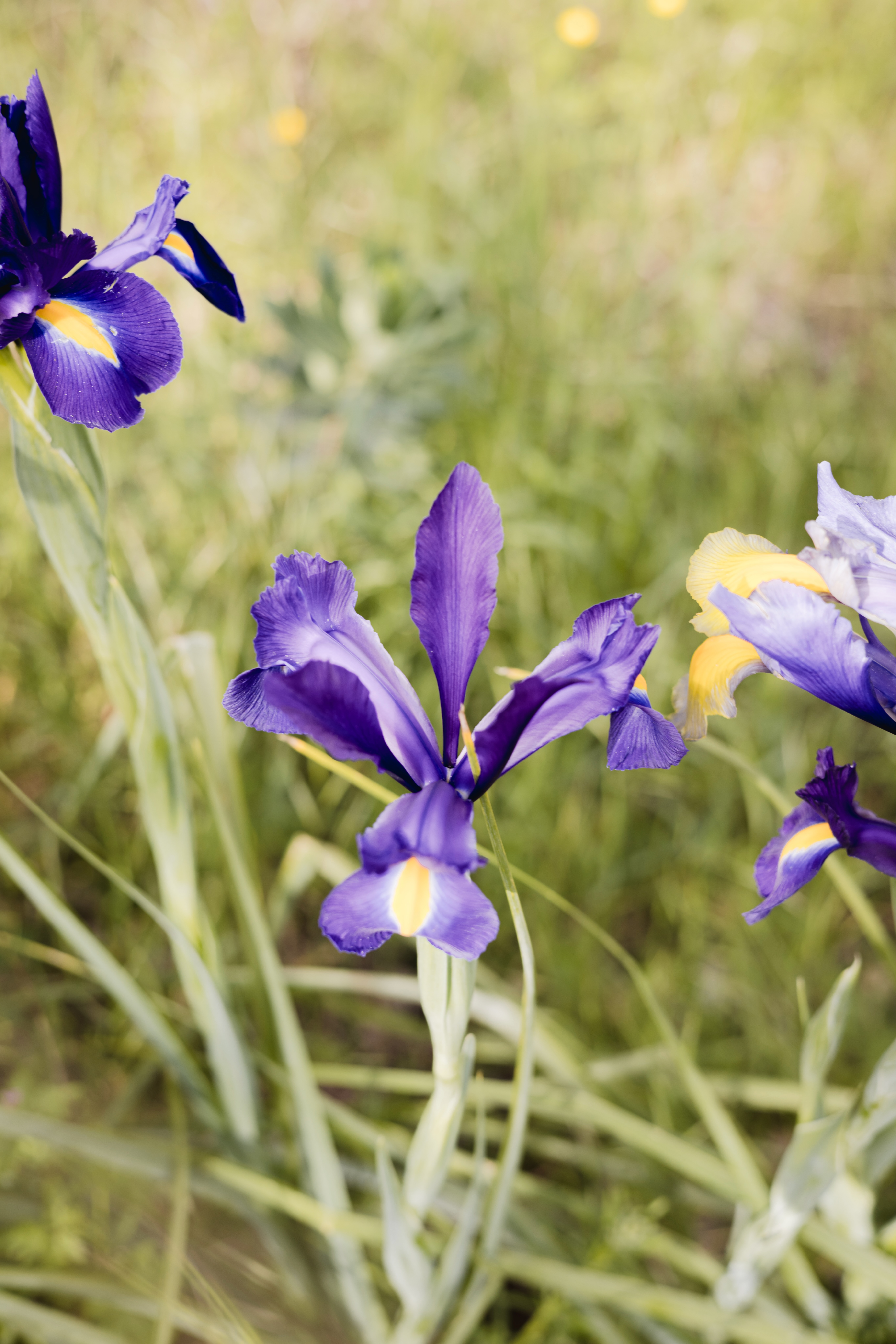 Un week-end au vert à Avène