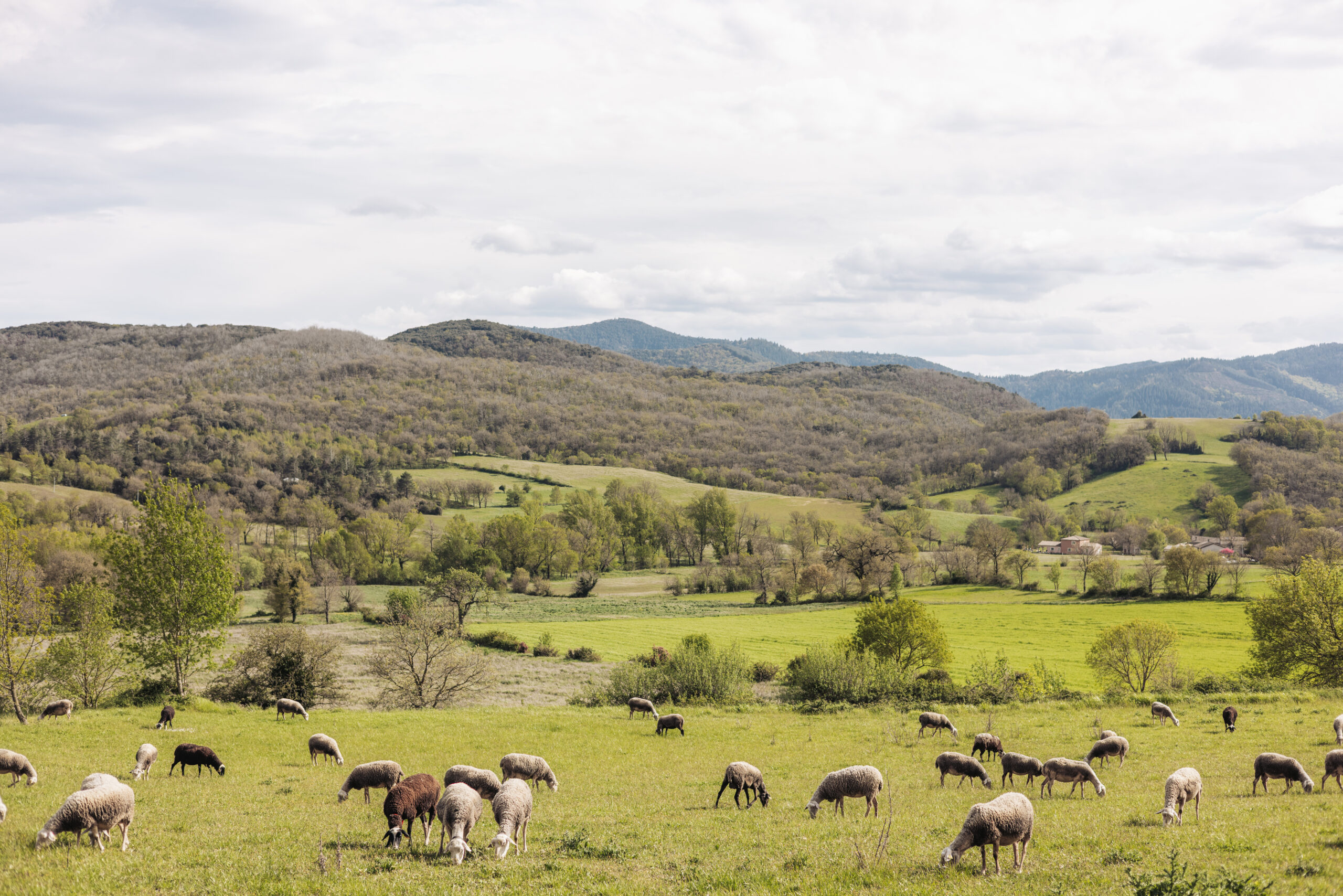 Un week-end au vert à Avène
