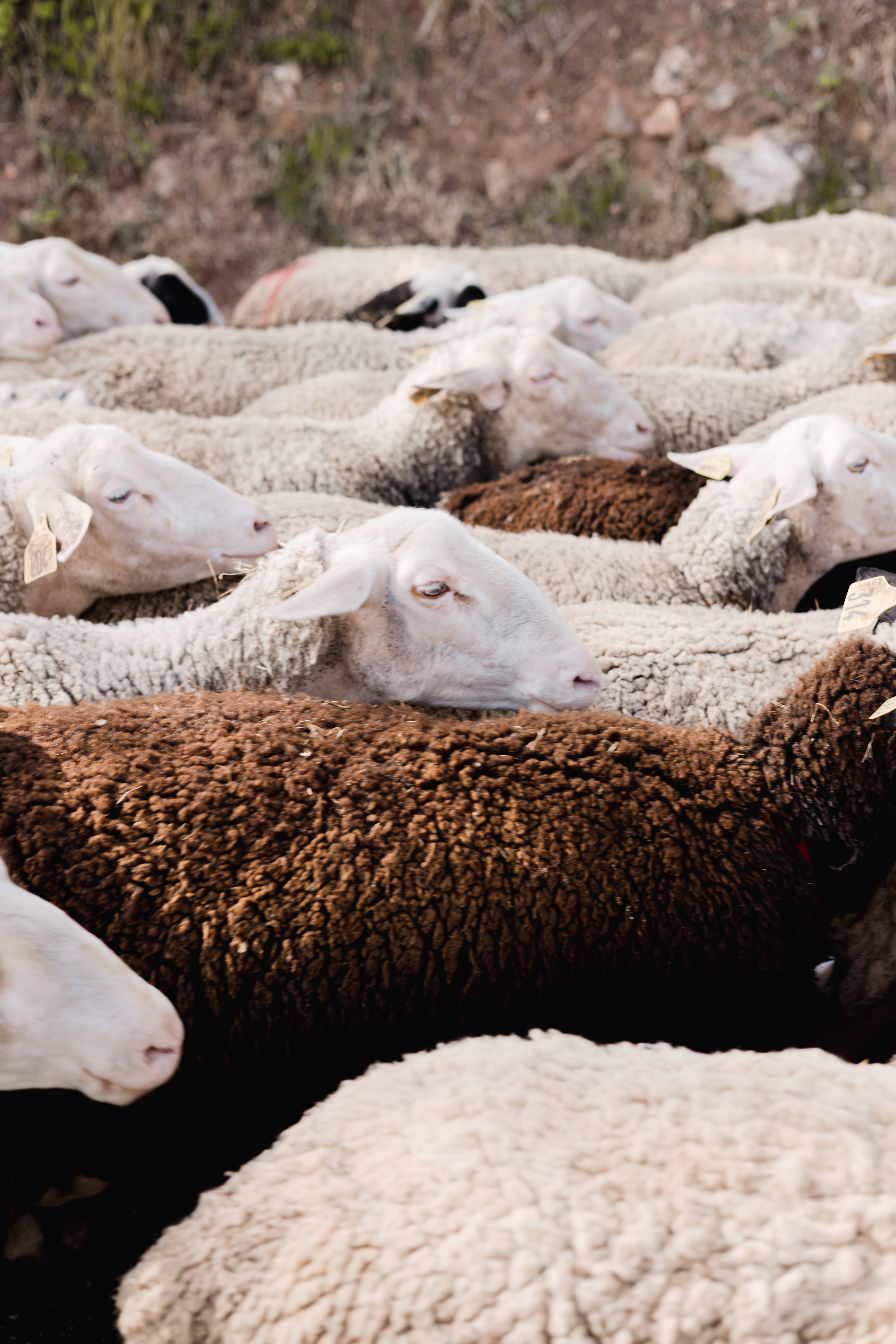 Un week-end au vert à Avène